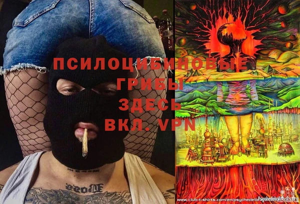 гидра Вязники
