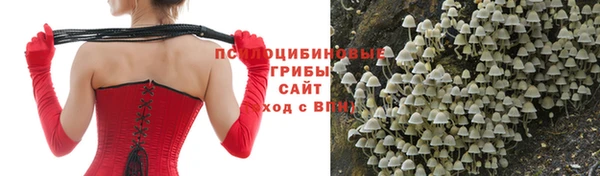 бошки Вяземский