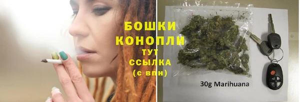гидра Вязники