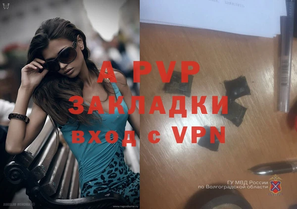 гидра Вязники