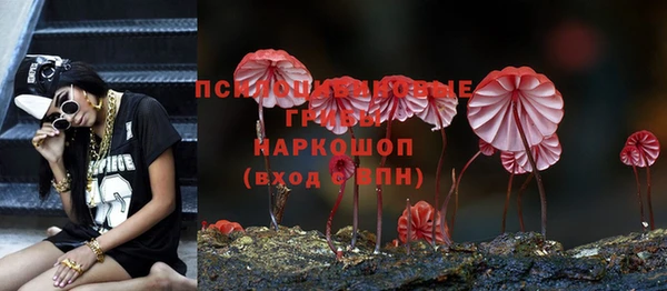 гидра Вязники