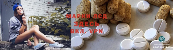 гидра Вязники