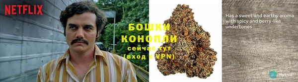 гидра Вязники