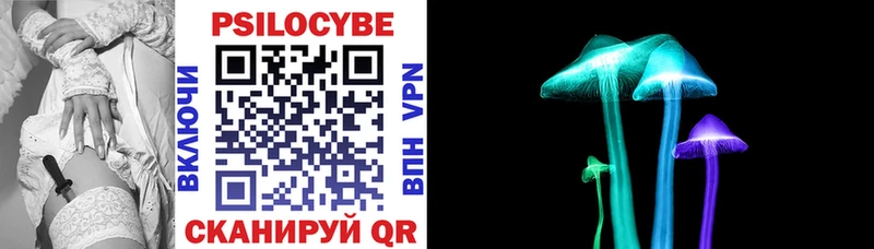 Купить  Фролово  Псилоцибиновые грибы прущие грибы 